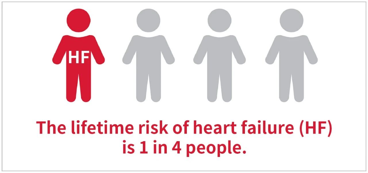 新品上市 | 心衰診斷雙保障——聚焦心衰精準(zhǔn)診斷，我們從未止步！